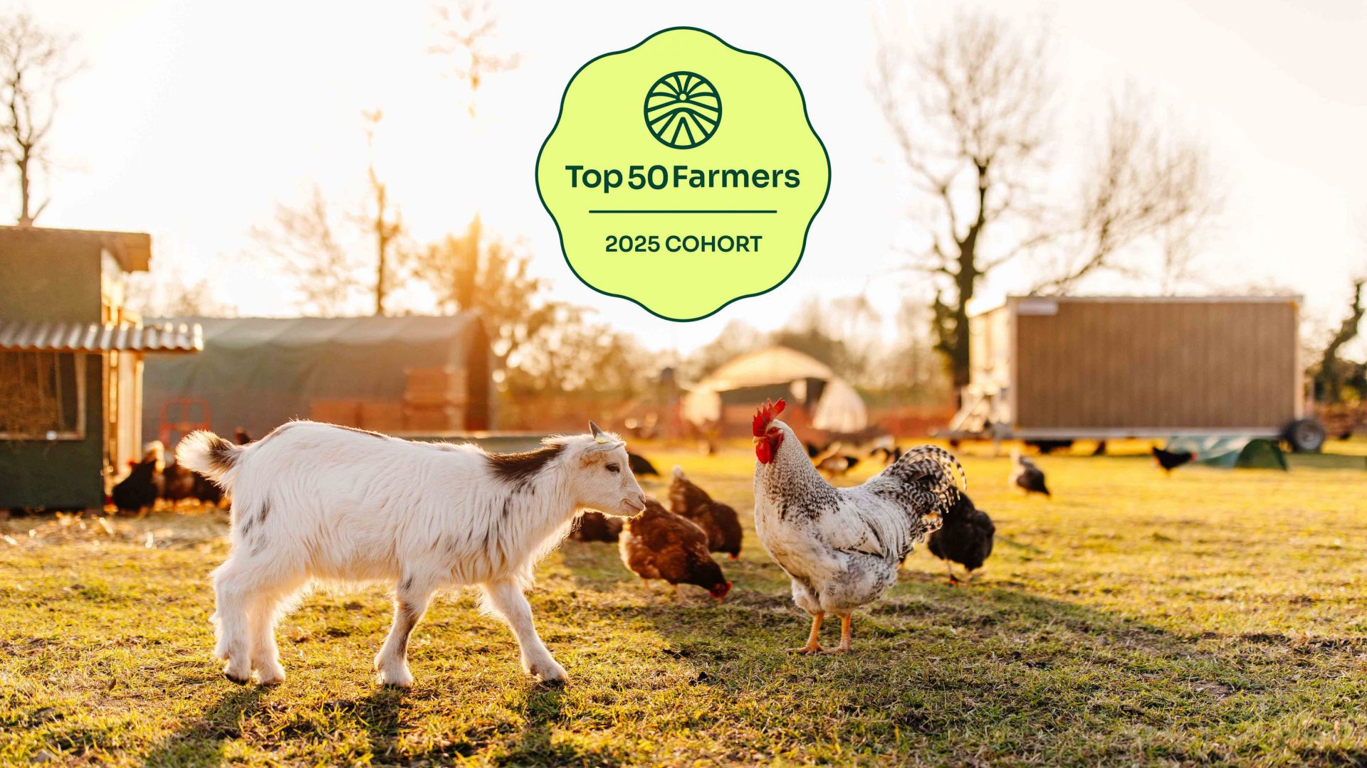 marienhof top 50 farmers 01