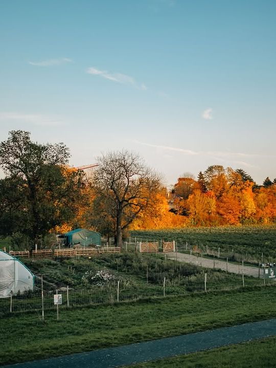 Heute mal handfeste Zahlen